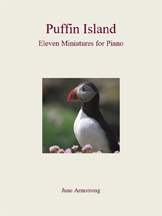 Puffin Island